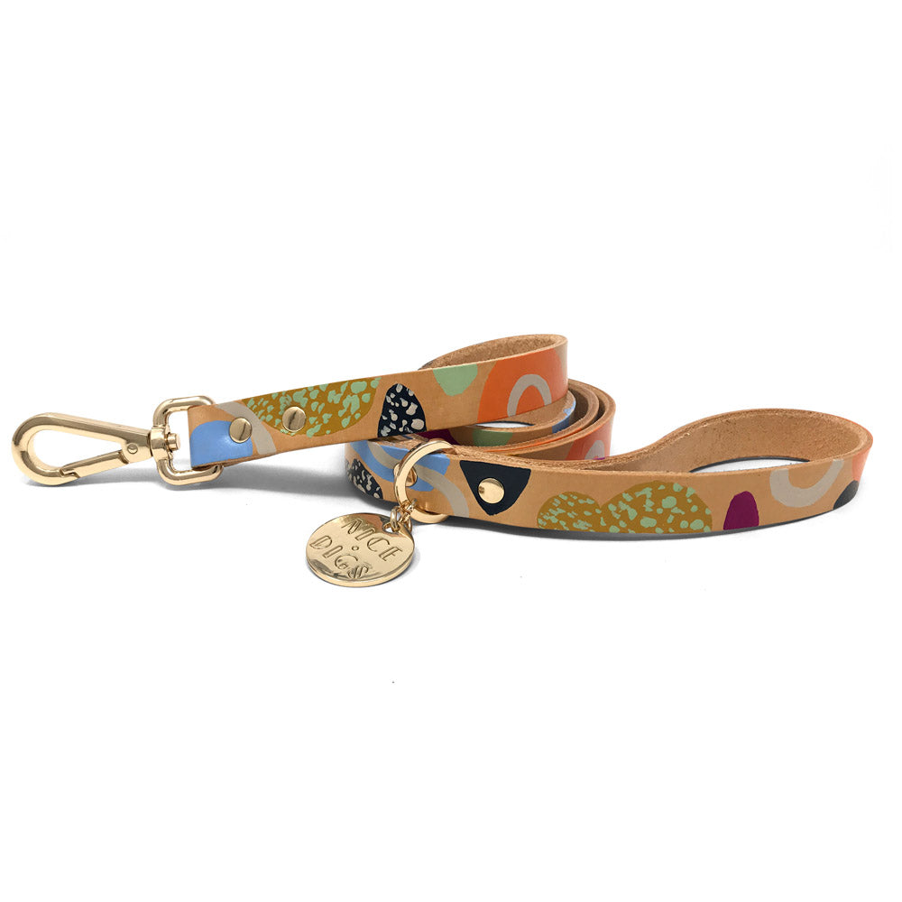 snakes and ladders dog leash (multi)