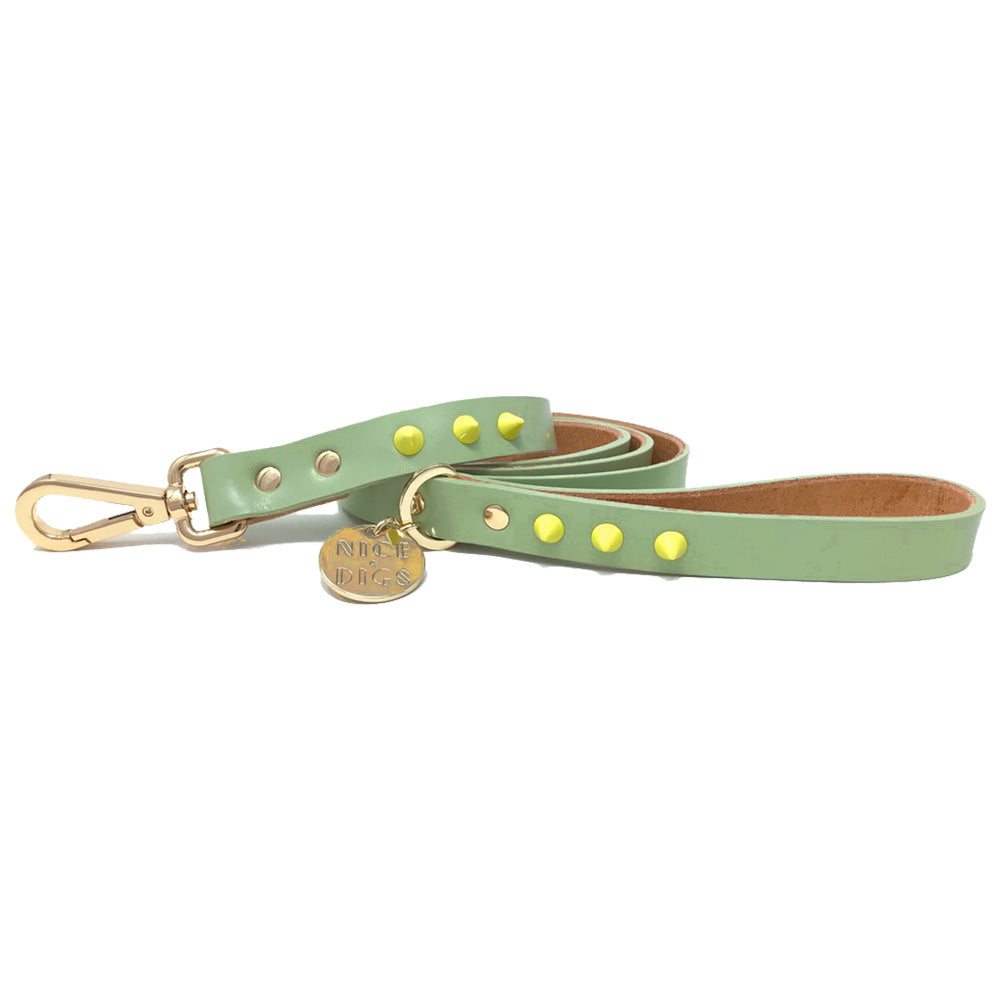 【海外輸入】 spike smooth dog U woof – pistachio) (lime leash 首輪・ハーネス・リード