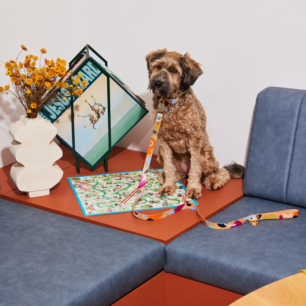 snakes and ladders dog leash (multi)