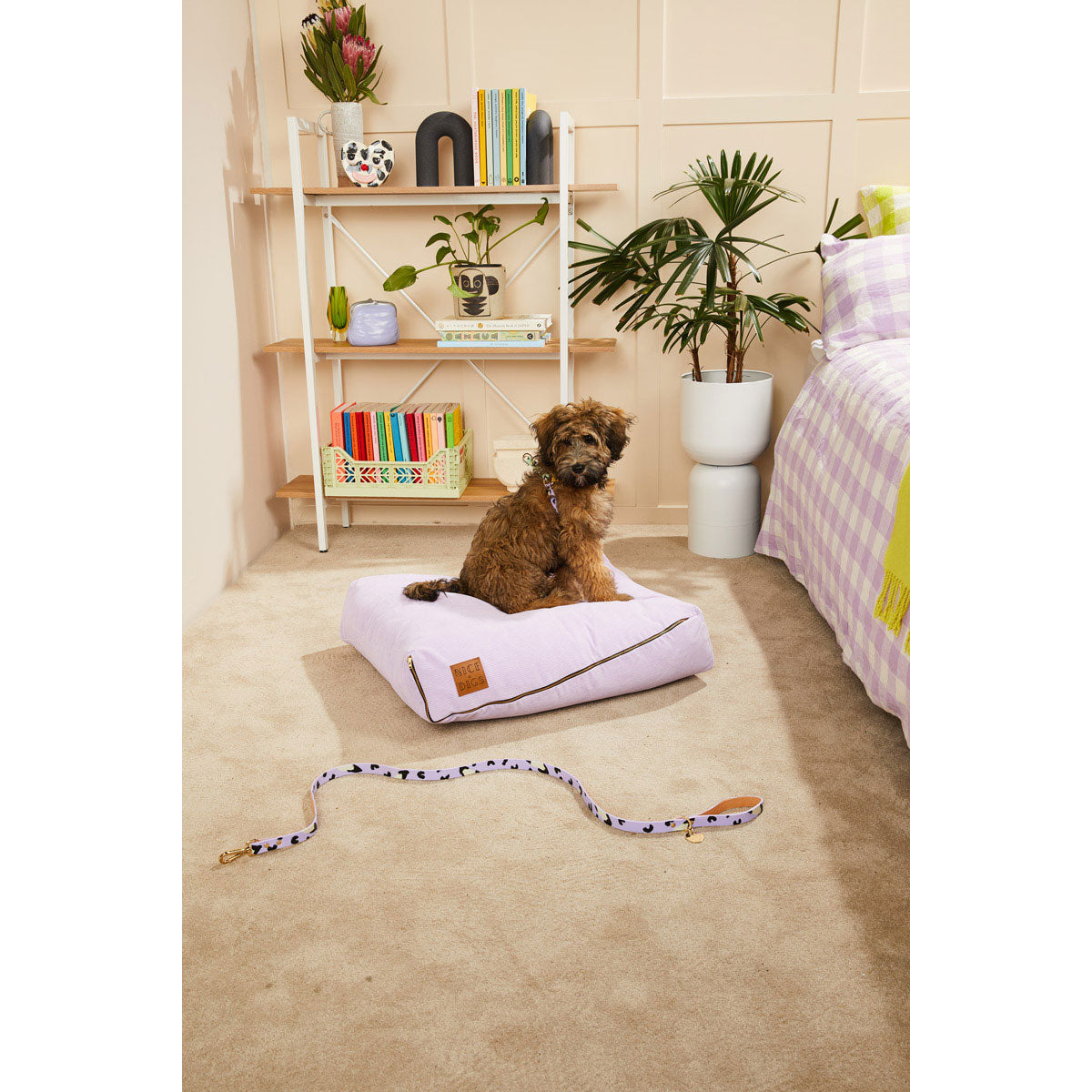 animal dog leash (lilac)