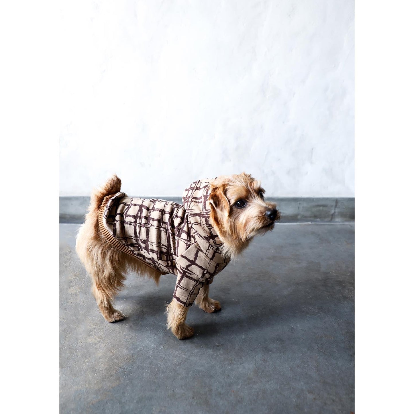 DOG hoodie