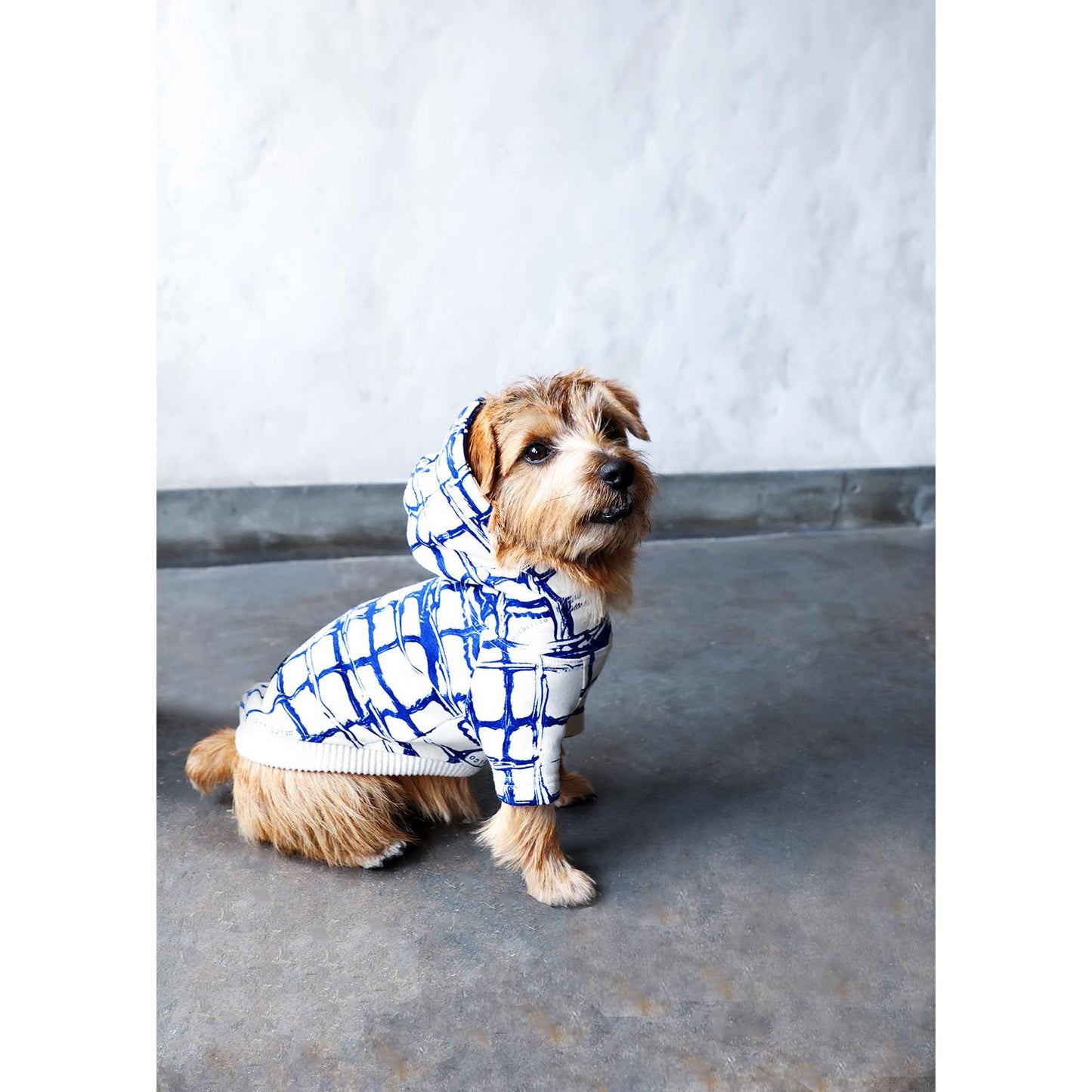 DOG hoodie