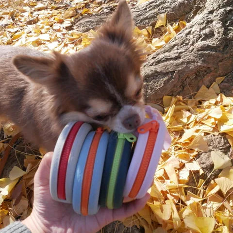 Washable Treats holder / CUTIE PIE snack holder