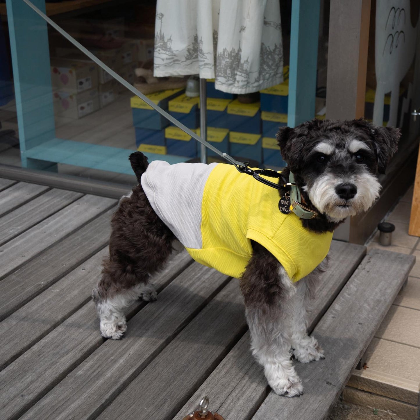 DOG WEAR クーリングタンクバイカラーYE×GY