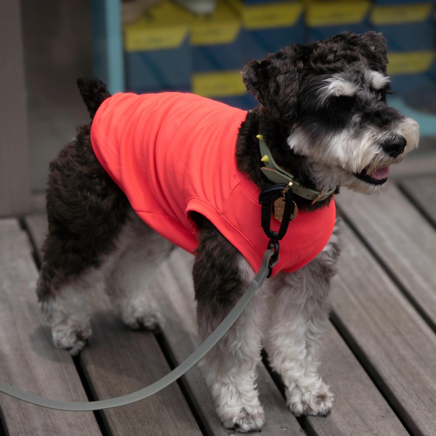 DOG WEAR クーリングタンク ネオンPINK