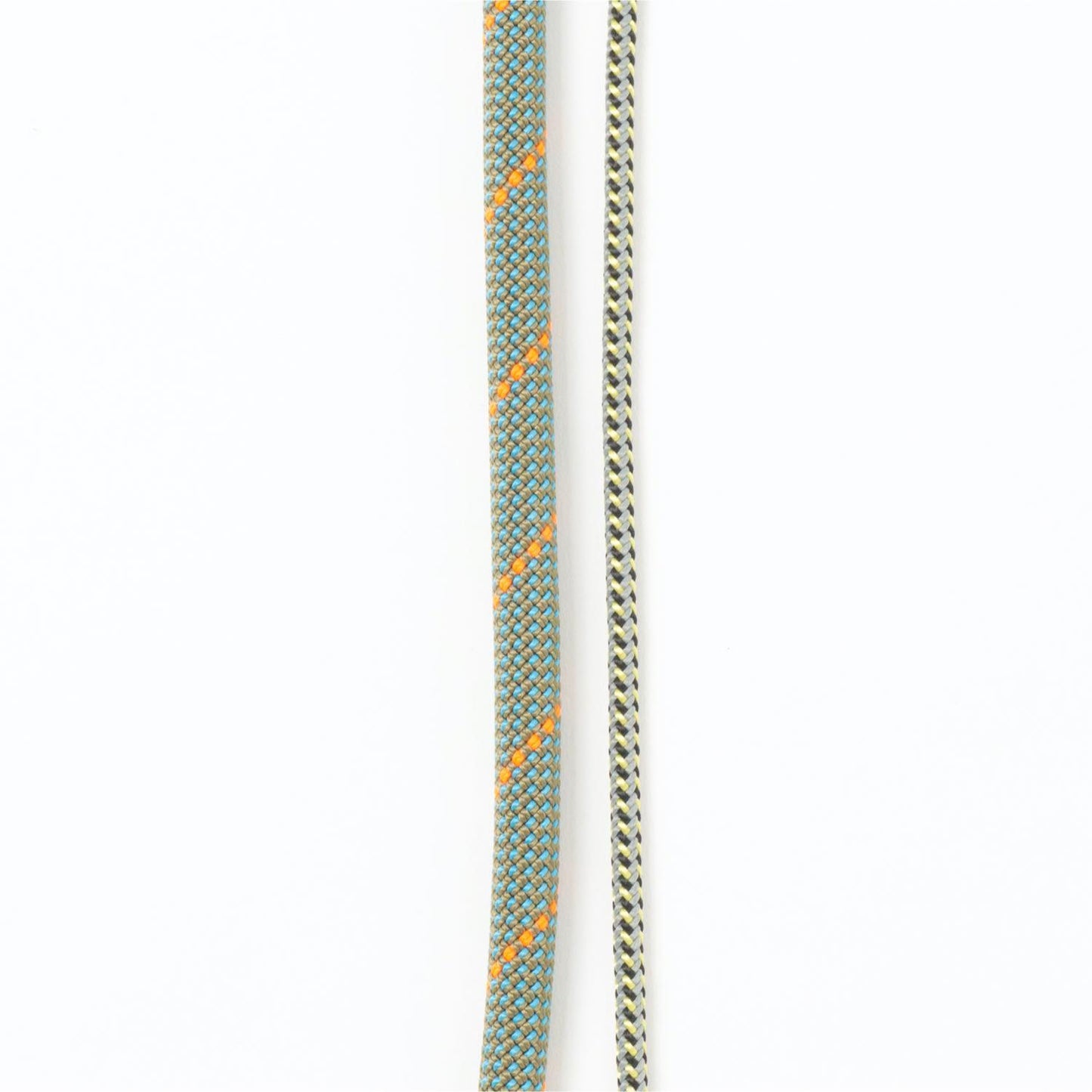 climbing rope leash