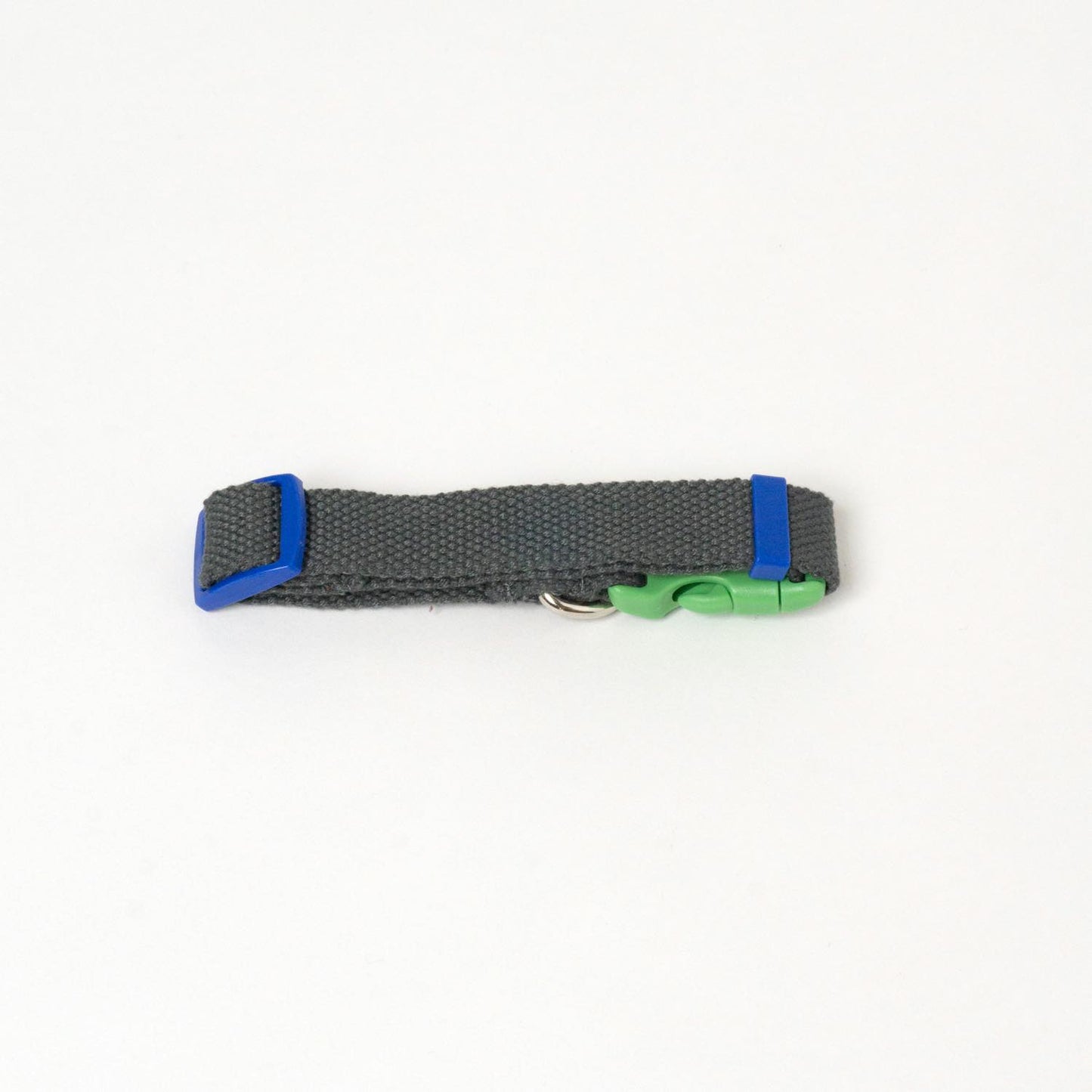 Dog Coller カラフルで小型犬向き