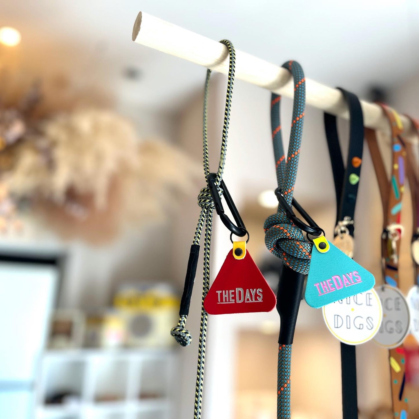climbing rope leash