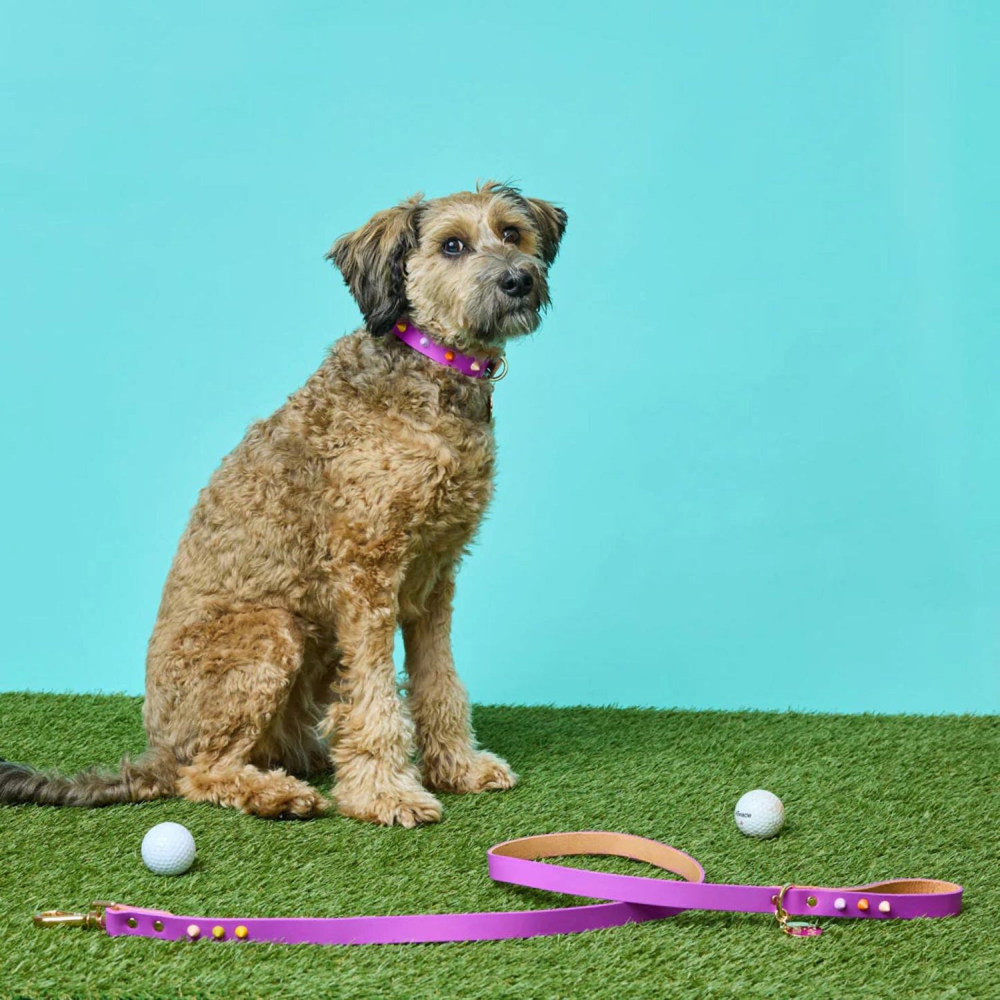 SMOOTH SPIKE DOG LEASH ULTRA VIOLET