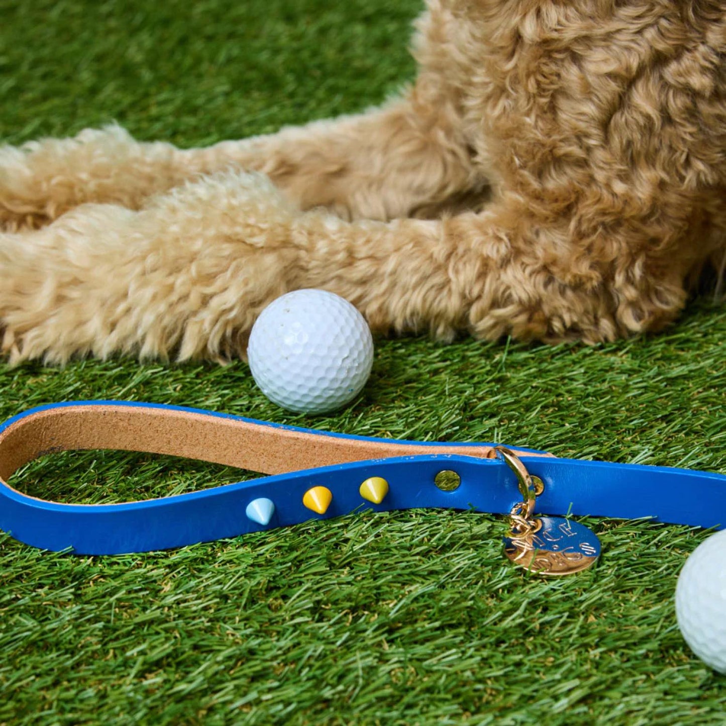 SMOOTH SPIKE DOG LEASH SALT COAST