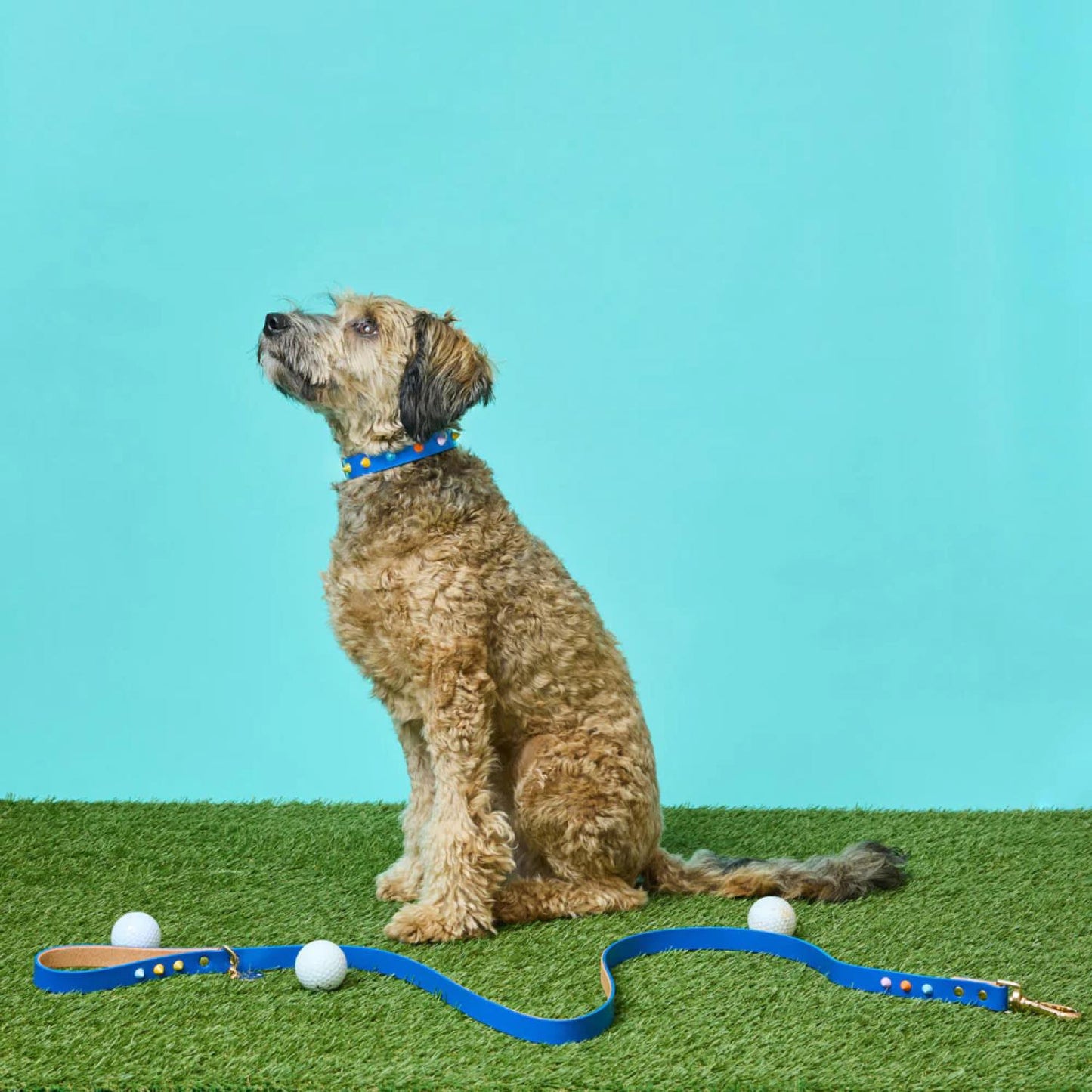 SMOOTH SPIKE DOG LEASH SALT COAST