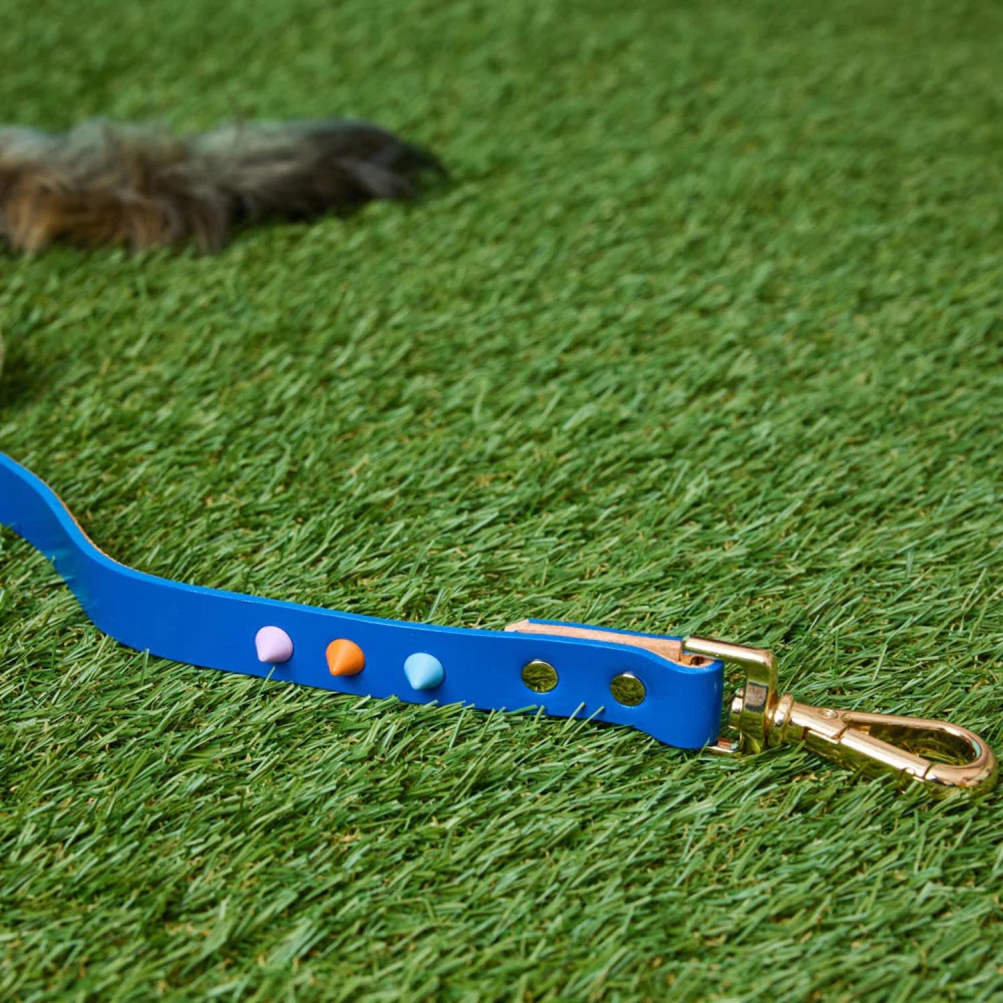 SMOOTH SPIKE DOG LEASH SALT COAST
