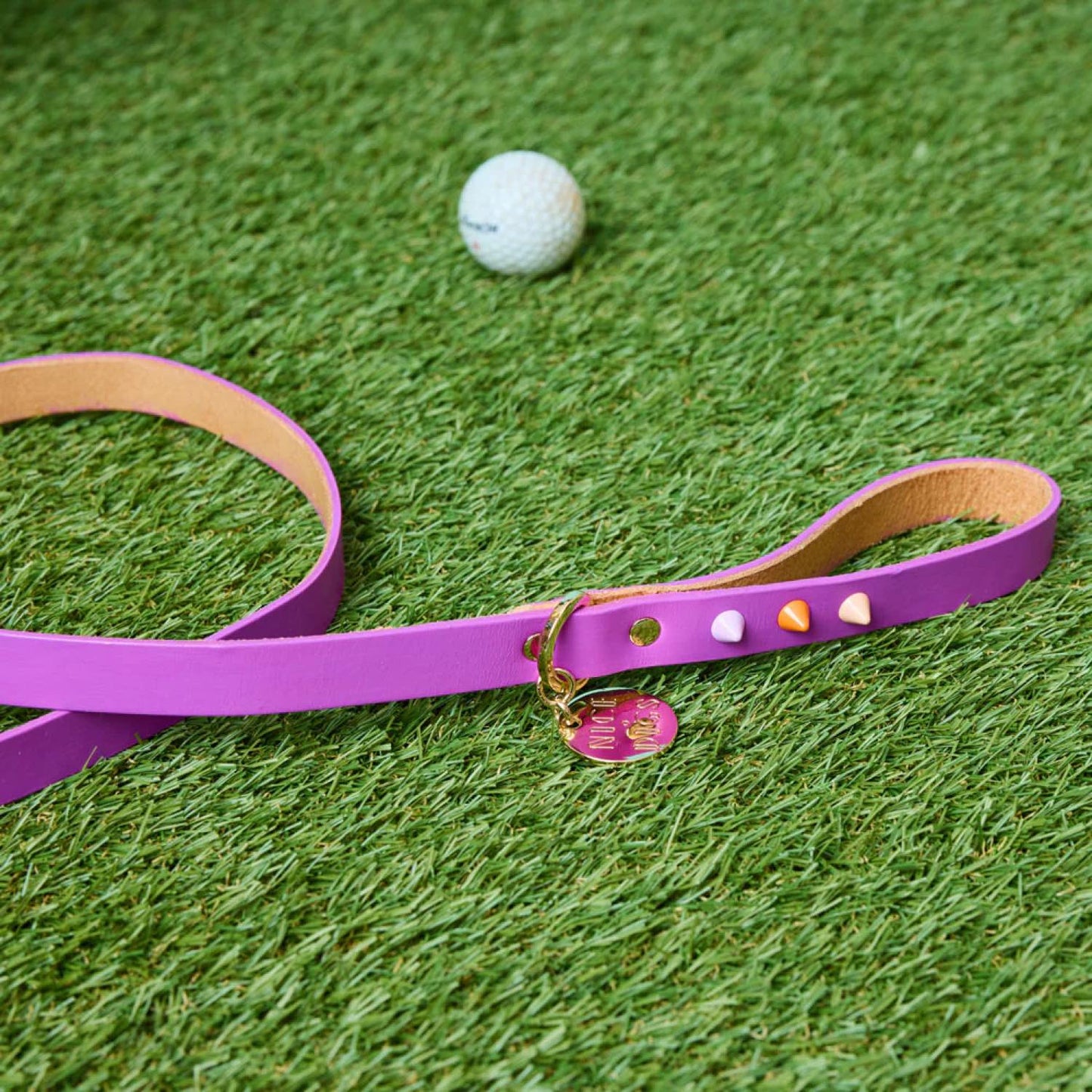 SMOOTH SPIKE DOG LEASH ULTRA VIOLET
