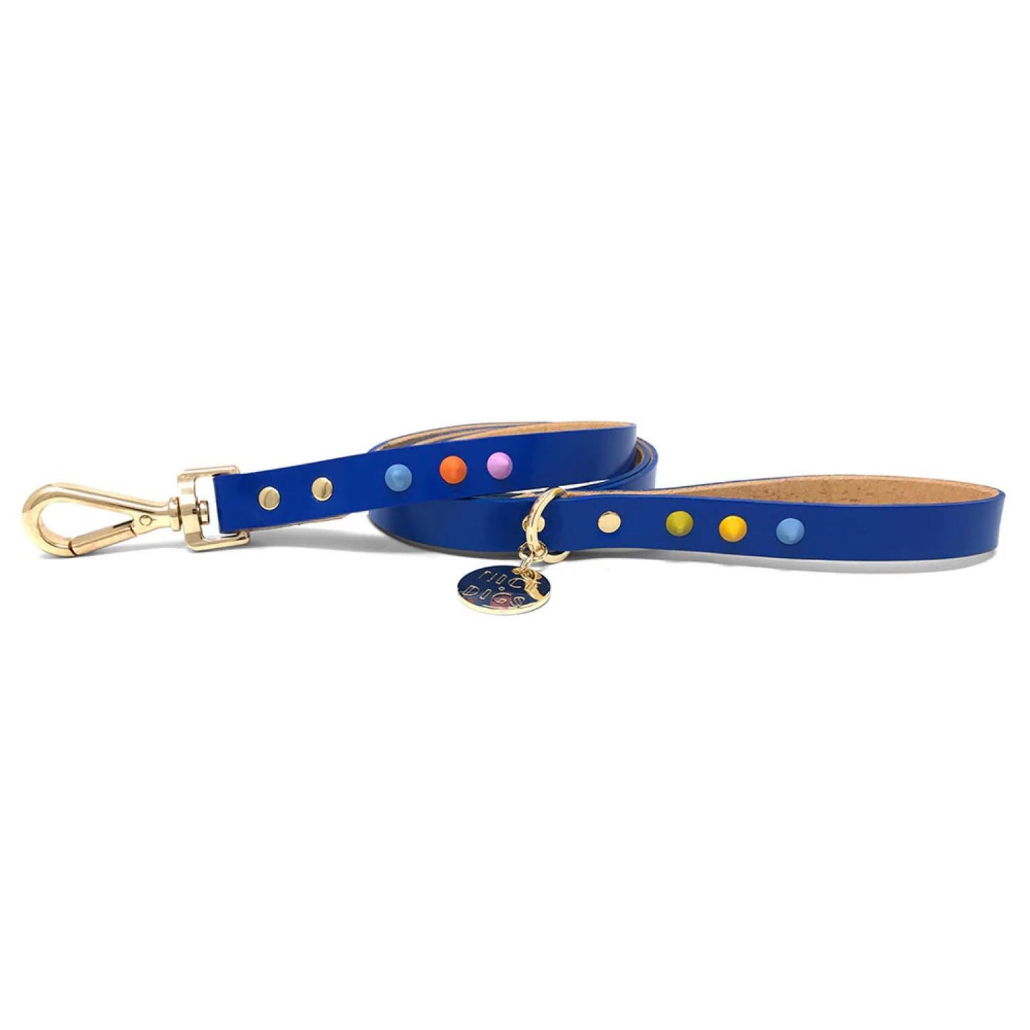 SMOOTH SPIKE DOG LEASH SALT COAST