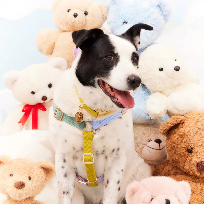 CORD DOG HARNESS TENDER HUG