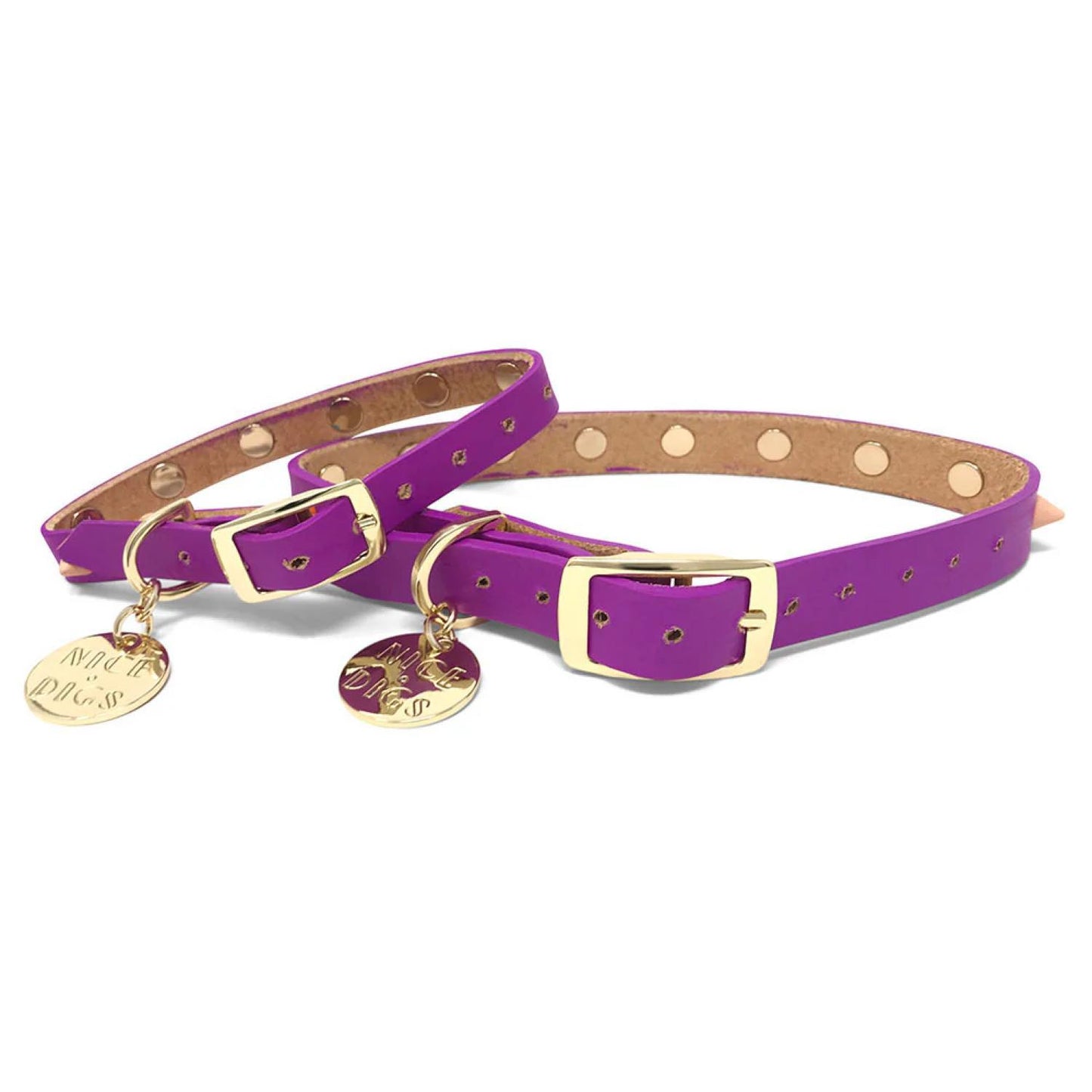 SMOOTH SPIKE DOG COLLAR ULTRA VIOLET