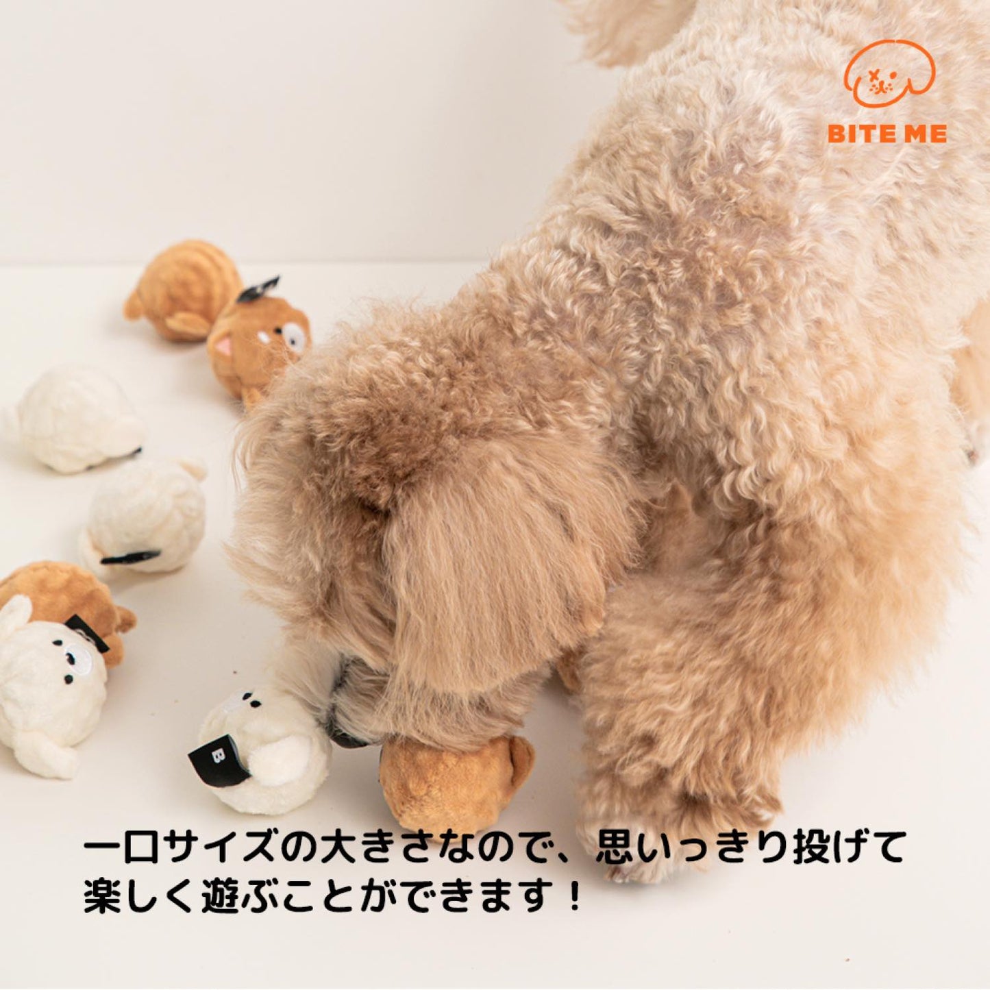 ワンちゃんのお友達ボールおもちゃ(2個入り)