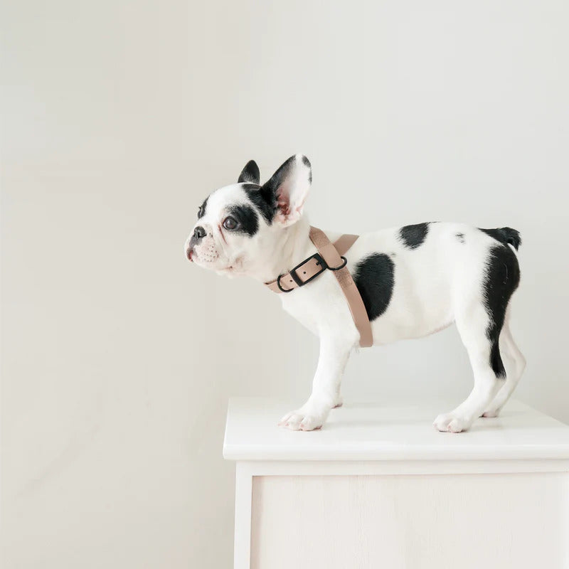 OTTO DOG HARNESS CABIN
