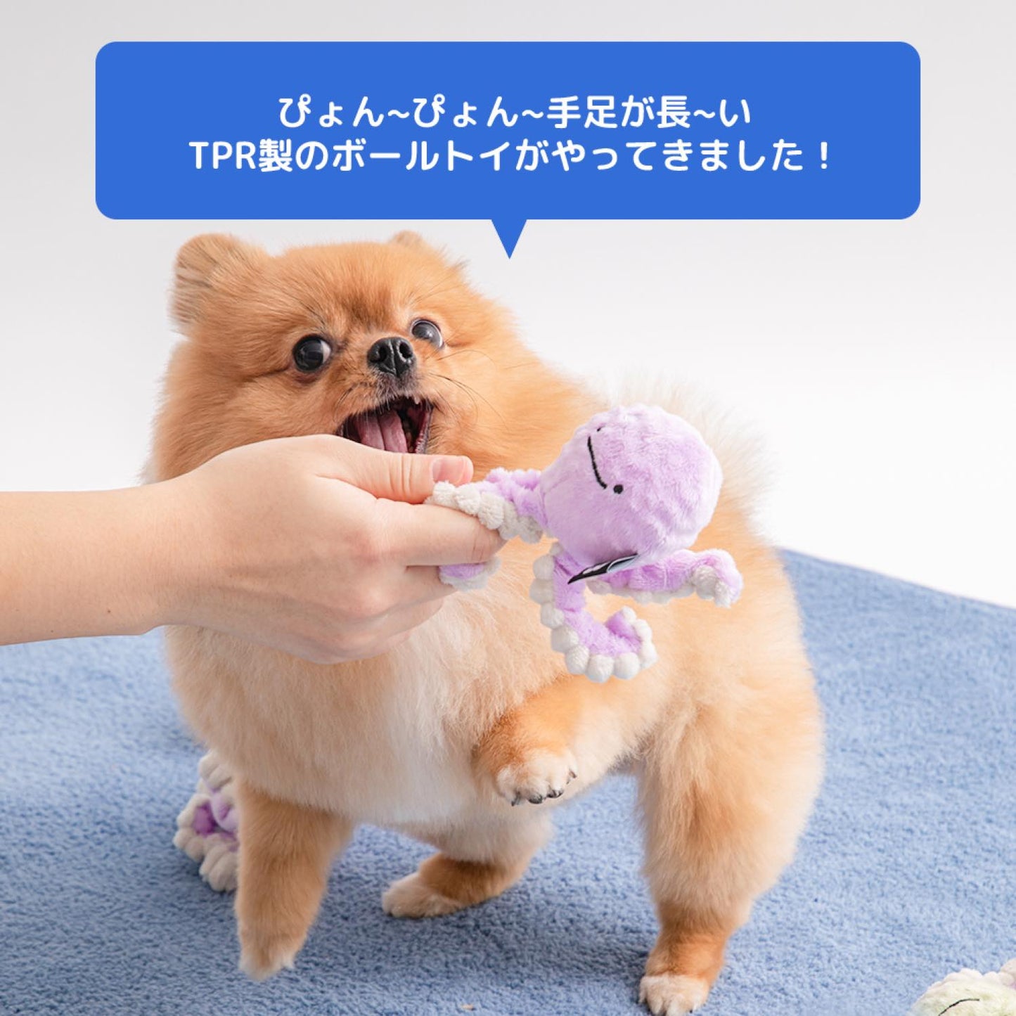 ぴょんぴょんボールおもちゃ