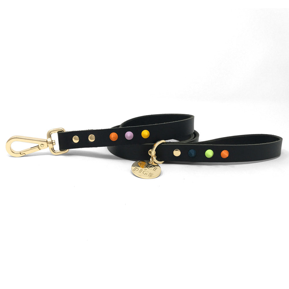 smooth spike dog leash (all sorts)