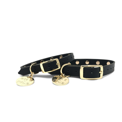 smooth spike dog collar (all sorts)