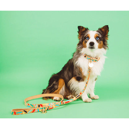 confetti dog leash (multi)