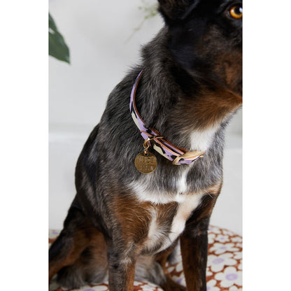 animal dog collar (lilac)