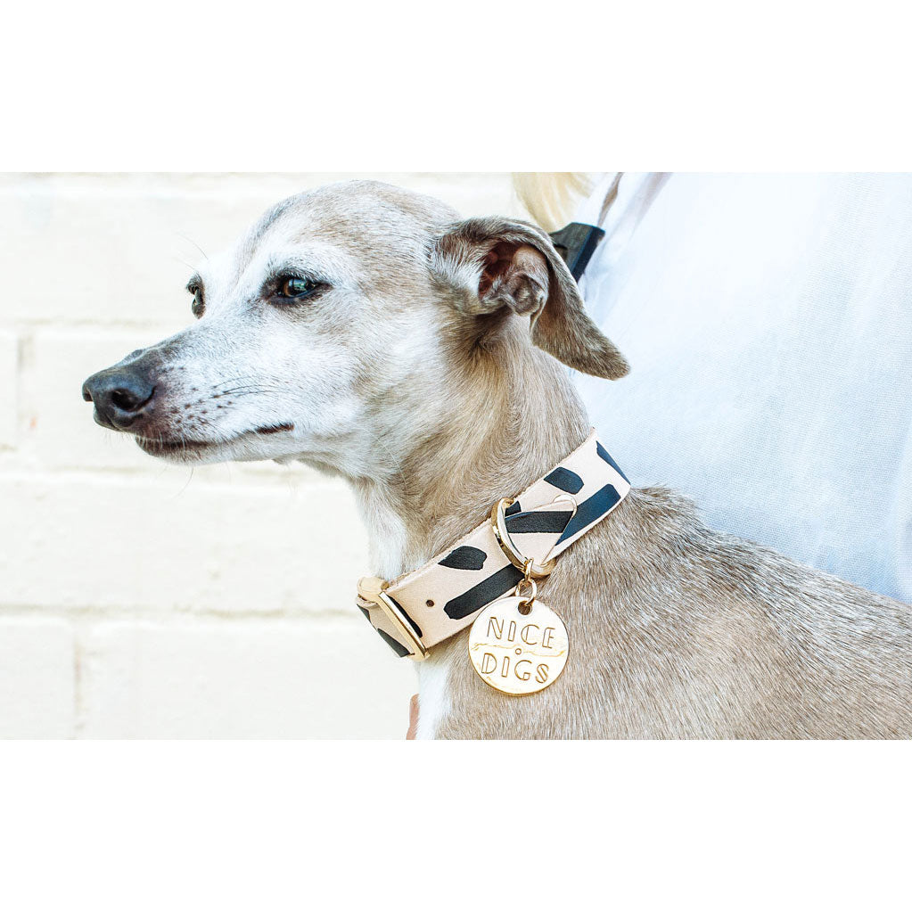 tiggy dog ​​collar (black)