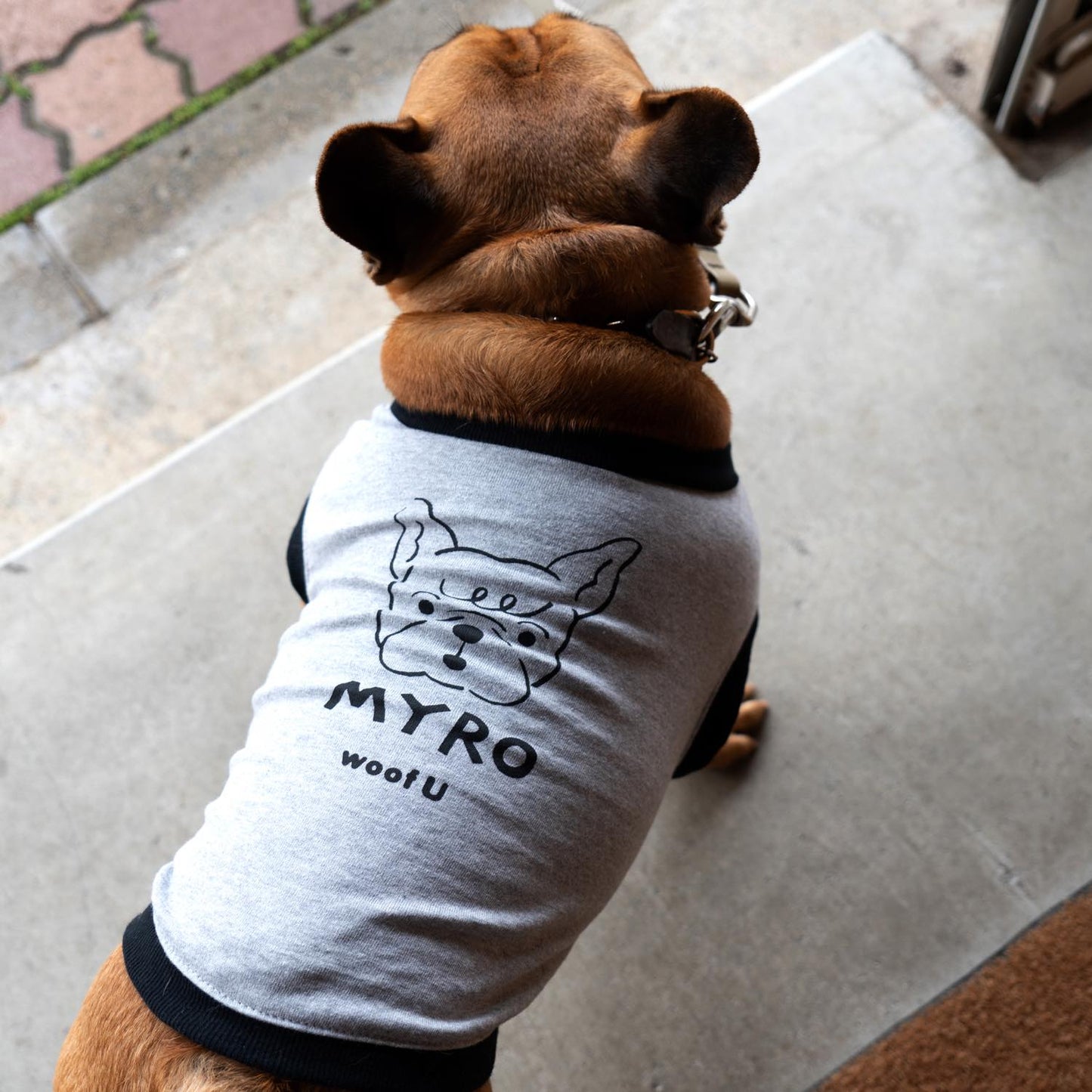 ONE DOG, ONE TEE 世界に一枚。うちの子のドッグTシャツ。