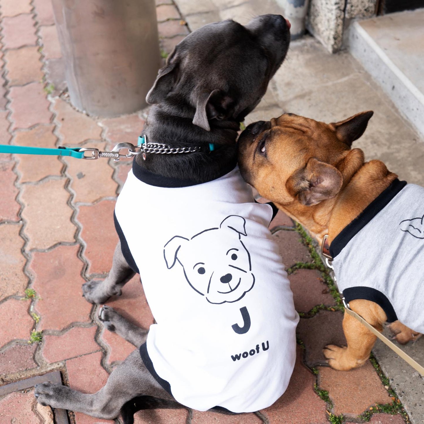 ONE DOG, ONE TEE 世界に一枚。うちの子のドッグTシャツ。
