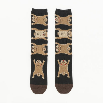 Socks 柴犬
