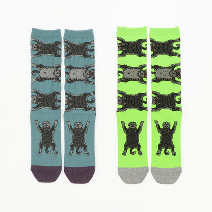 Socks シュナウザー