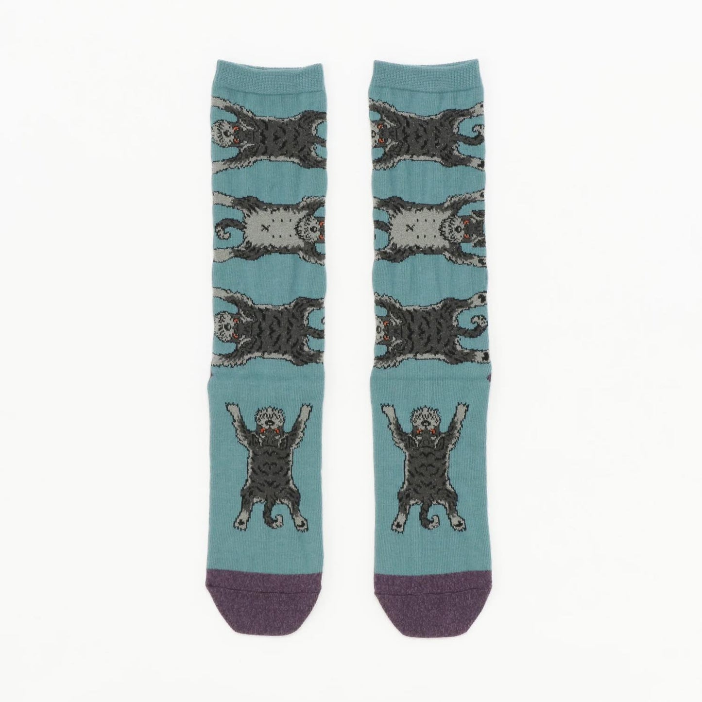 Socks シュナウザー