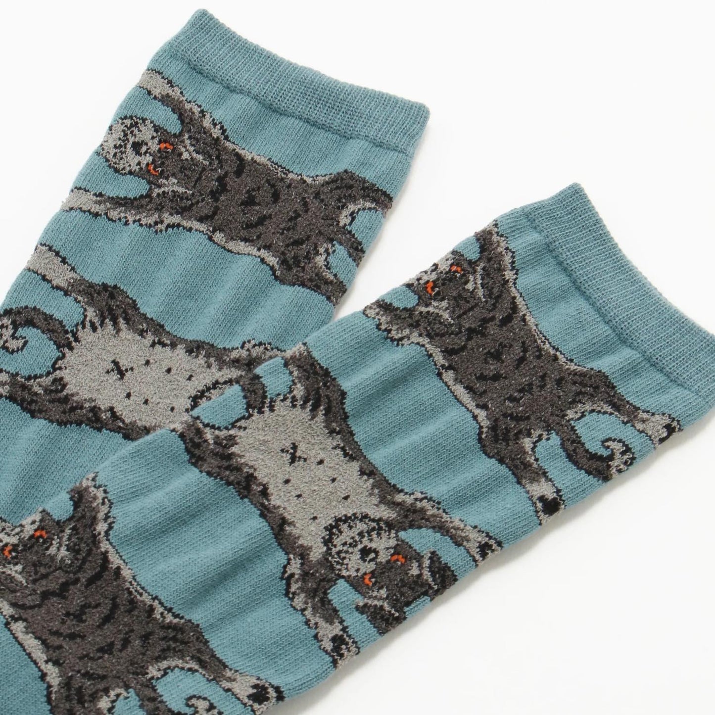 Socks シュナウザー