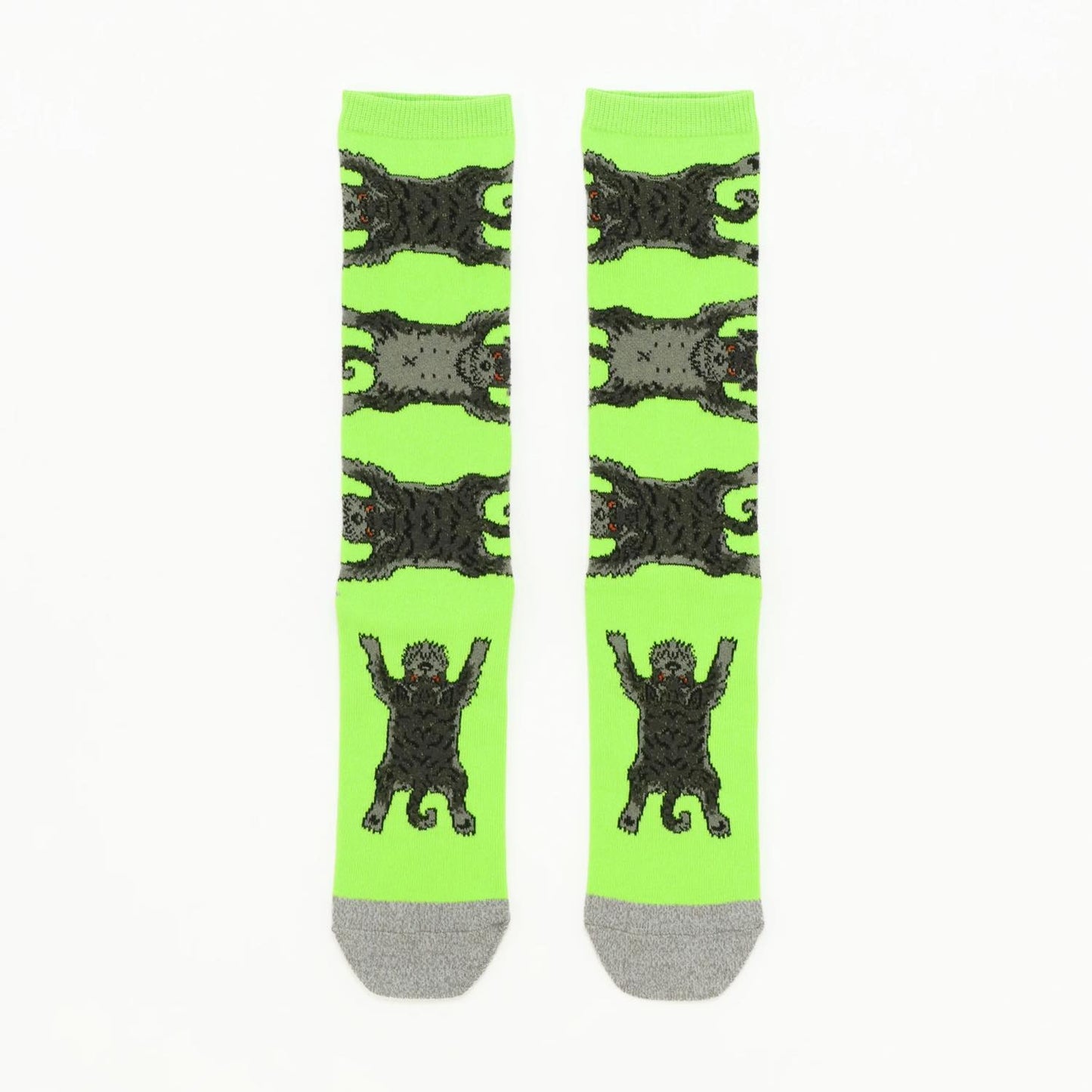 Socks シュナウザー