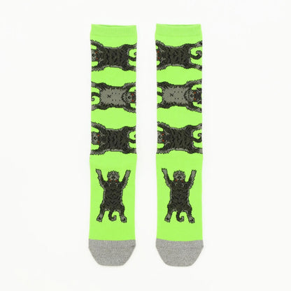 Socks シュナウザー