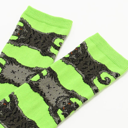 Socks シュナウザー