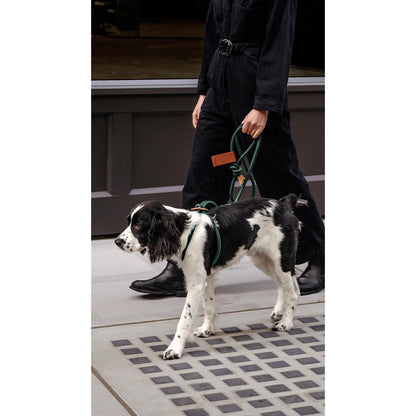 Toto Bag 犬の散歩用ミニレザーバッグ。