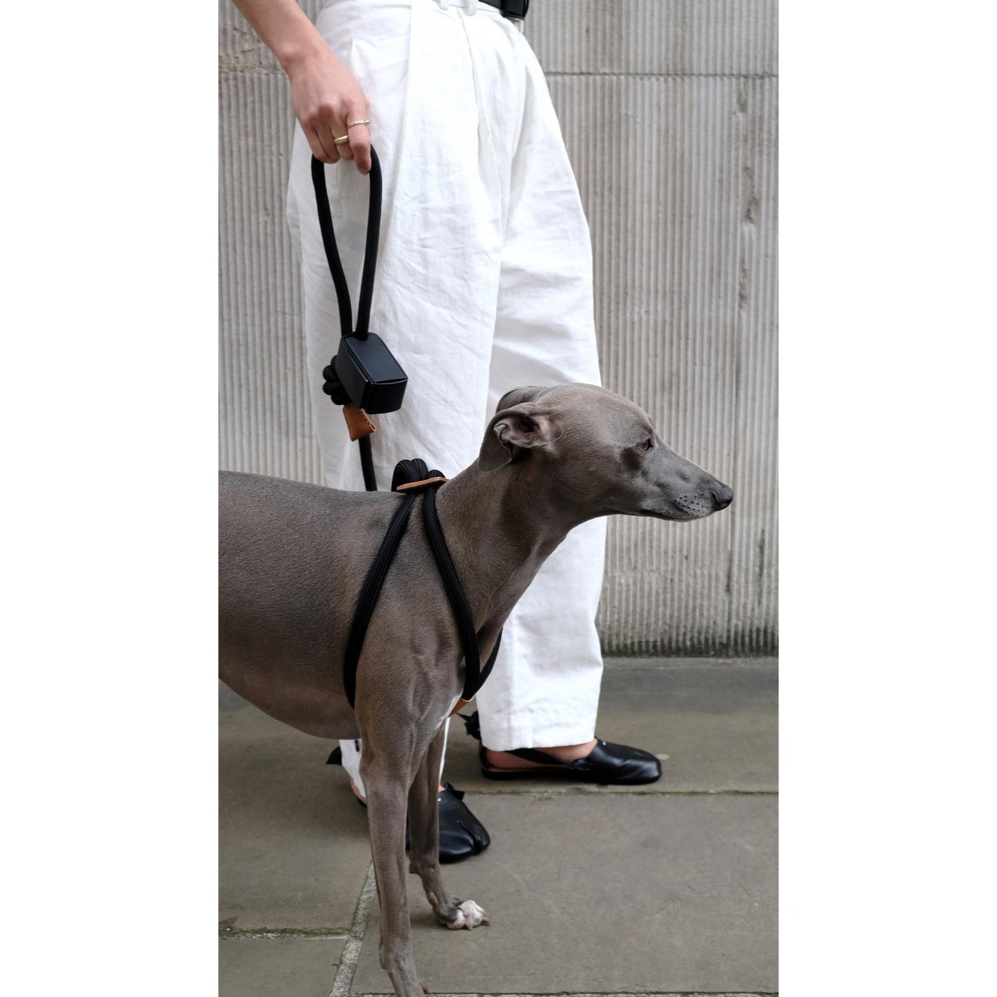 Toto Bag 犬の散歩用ミニレザーバッグ。