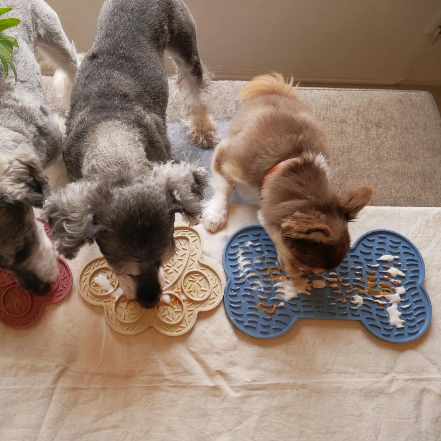 LICK MAT BONES / BLUE For stress relief and house-sitting measures