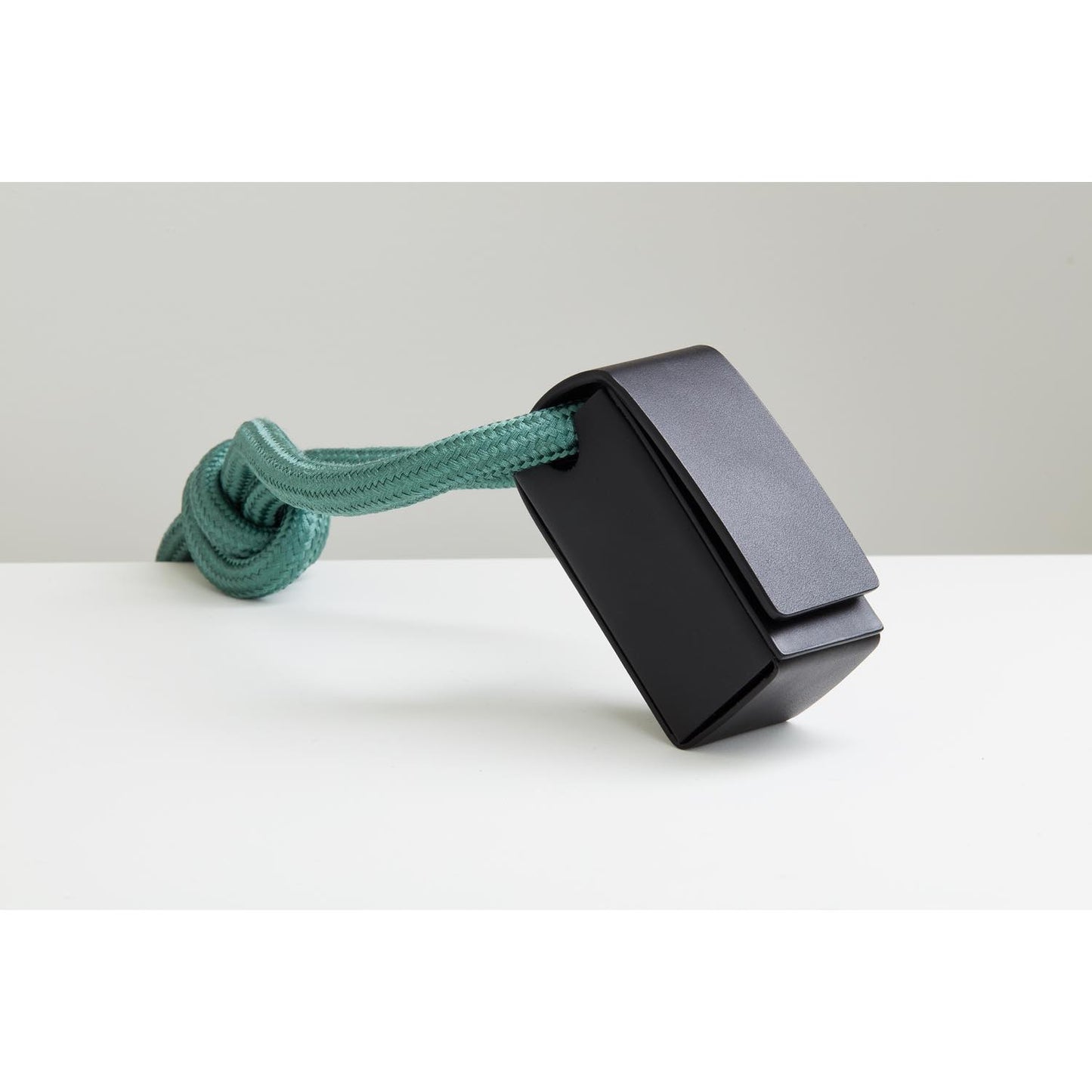 Toto Bag 犬の散歩用ミニレザーバッグ。