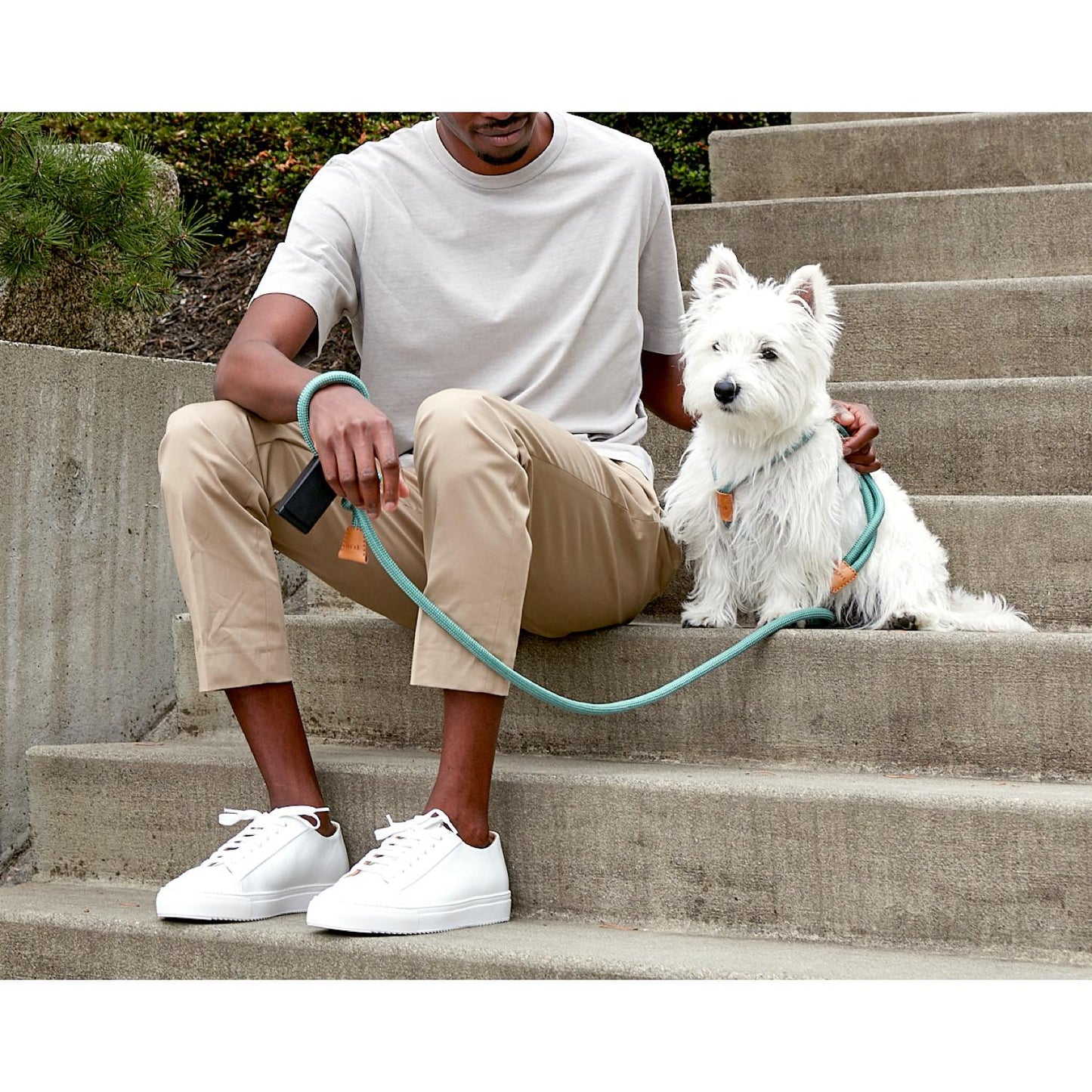 Toto Bag 犬の散歩用ミニレザーバッグ。