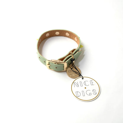 smooth spike dog collar (lime pistachio)