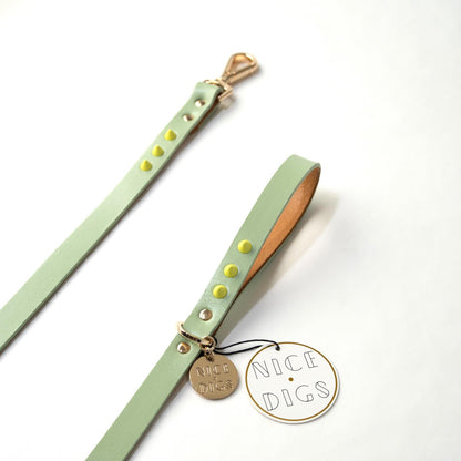 smooth spike dog leash (lime pistachio)