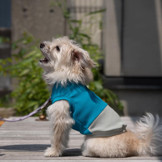 DOG WEAR クーリングタンクバイカラーBL×KH