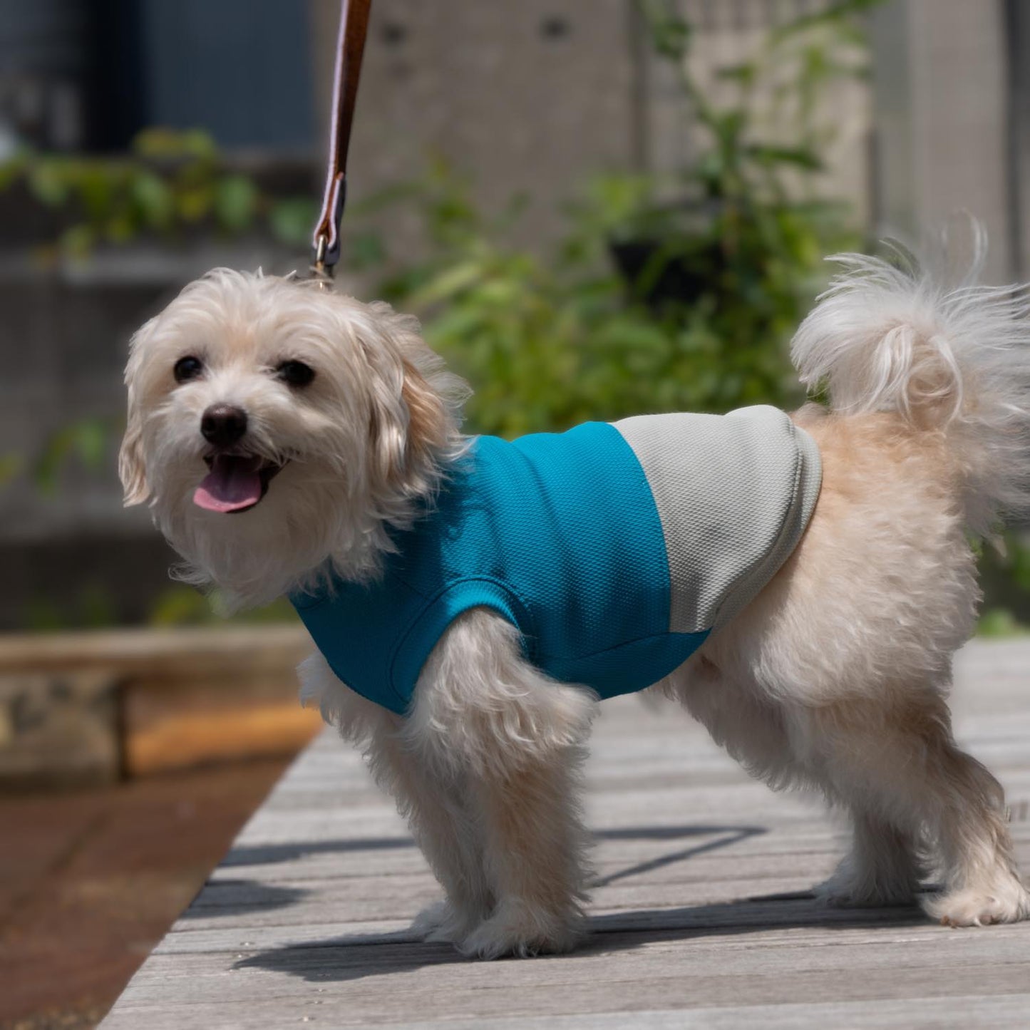 DOG WEAR クーリングタンクバイカラーBL×KH