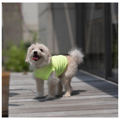 DOG WEAR クーリングタンク ネオンYELLOW
