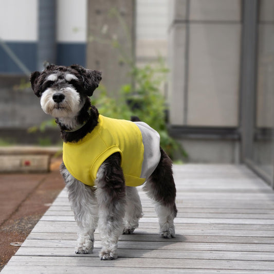 DOG WEAR クーリングタンクバイカラーYE×GY