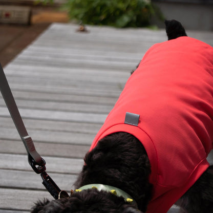 DOG WEAR クーリングタンク ネオンPINK