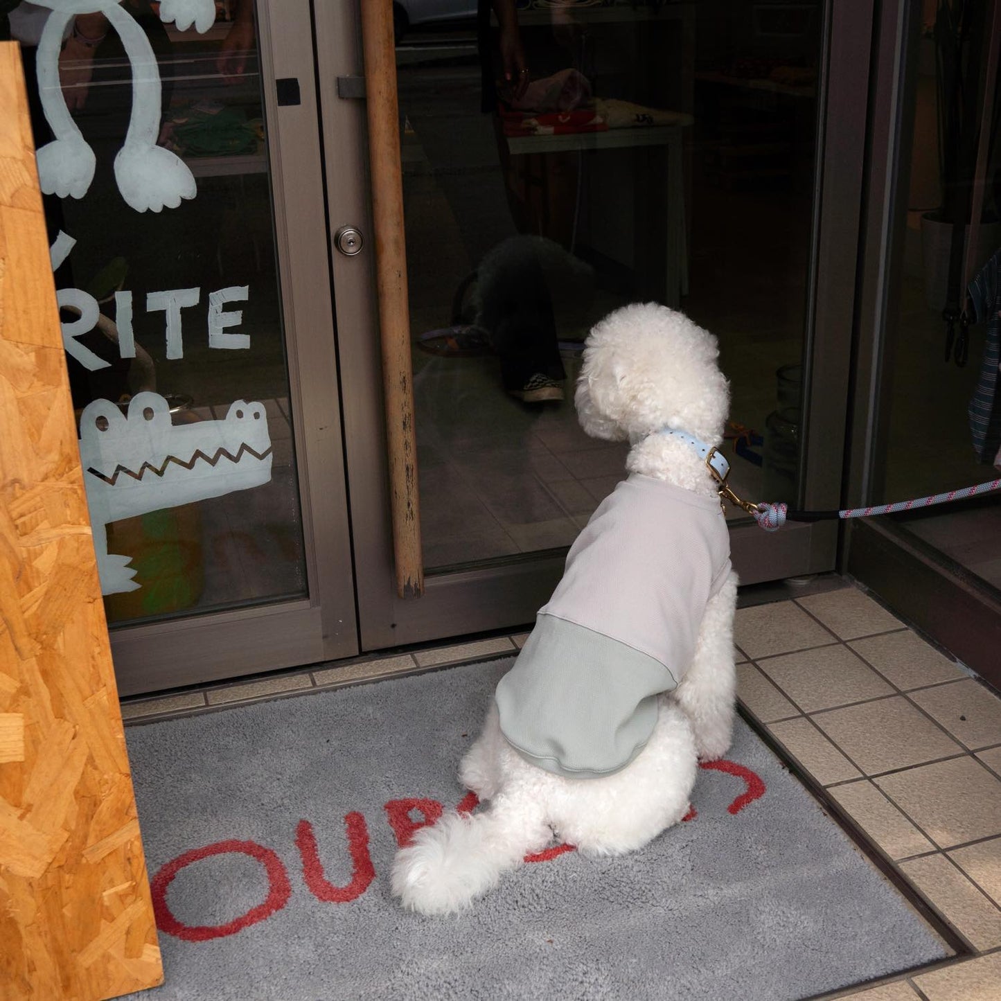 DOG WEAR クーリングタンクバイカラーGY×KH